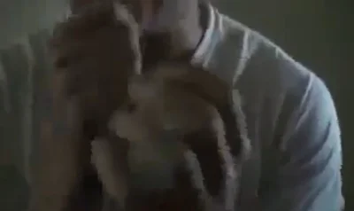 ShineLow - #sebcel 

Bambusy ratujcie mnie, przyszło mi pismo od prokuratora i jest t...