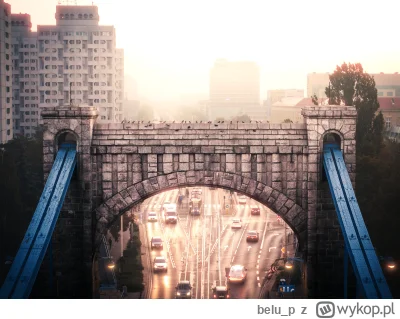 belu_p - Most Grunwaldzki to nie tylko jedno z ulubionych miejsc gołębi, ale także na...