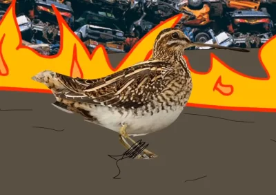 NieDzwieczny - Co wam bogole te ptaszki przeszkadzają?