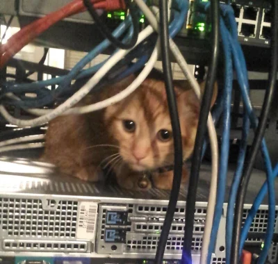 blamedrop - Coś się, coś się popsuło... #wykop