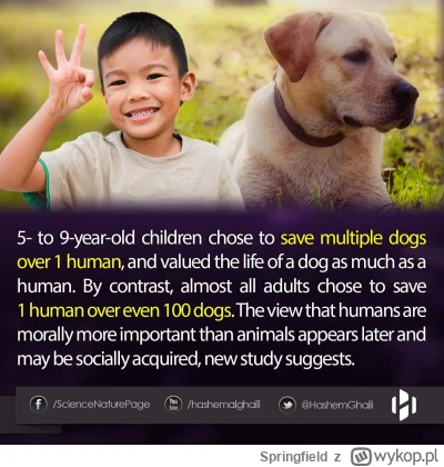 Springfield - dlaczego nie pokazują dzieci do adopcji tylko jakieś psy? 
#kanalsporto...