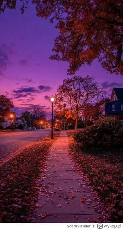 ScarySlender - #widoczki #azylboners