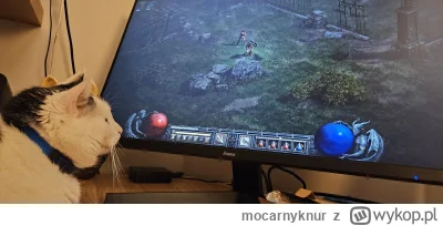 mocarnyknur - #kitku #koty #pokazkota #gry #diablo2

Gramy w grę....