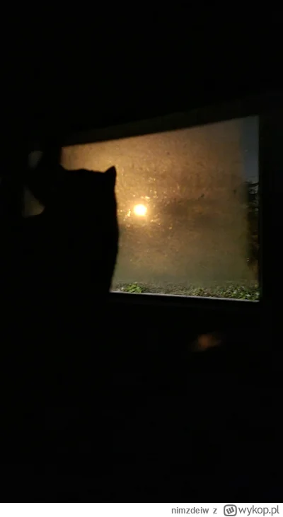 nimzdeiw - Kitku lubi patrzeć przez okno, a ono bezczelne zaparowało.
Kitku niepocies...