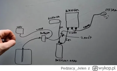 Pedzacy_Jelen - Pozew zbiorowy przeciwko bieda rudemu. Szukam osób, które zostały osz...