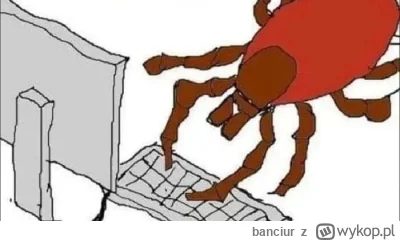 banciur - @ChlopoRobotnik2137: Spoko mordo ta trasa jest idealna. Co jakie krzaki? Ja...