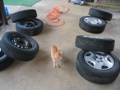 frugASS - Mój mechanik chyba nie wie co robić