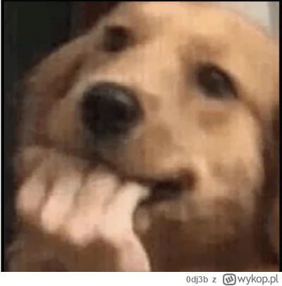 0dj3b - @myk-myk-myk:  Za każdym razem jak widzę Stanowskiego na tym zdjęciu to mam t...