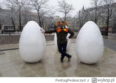 PadrygPedauczyd - Zdjęcie z jajami Zalewskiego
#mecz