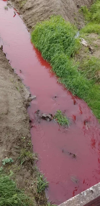 desygnat - Coś wydarzyło się na rzece na Podkarpaciu. Ciekawe czy sprawa zostanie odp...