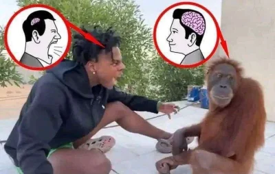 saviour - #kanalzero