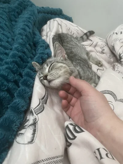 SunnO - Hejka, dawno nie było apdejtu, niestety jestem zbyt zajęty organizacją wydawa...