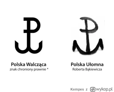 Kempes - Przy okazji Bąkiewicz wymyślił znak, z którym identyfikuje się spora część p...
