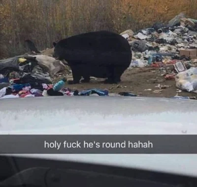 wfyokyga - Ale grubciu xdd