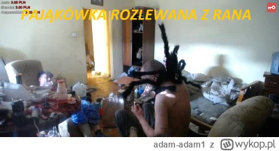 adam-adam1 - @TEDMAJER: