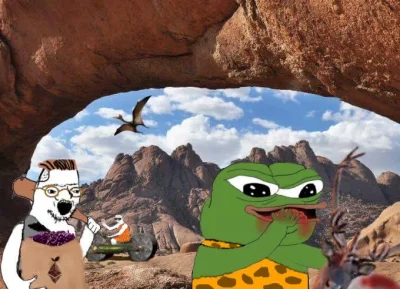 rosol-z-kur-wielu - @MagadaskarWHO chciałbym