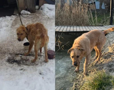 cytmirka - Zaniedbuję mocno tag #otoziaki (╯︵╰,)

Głównie dlatego, że ciągle nie mam ...