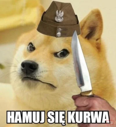 AzazulPazuzu - >a bym jej pachy wylizal

@mizogin14: