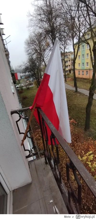 Mete - Za tych co stracili życie walcząc za ten piękny kraj...
#11 listopada #wojsko