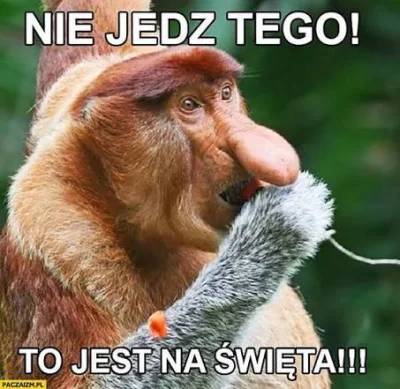 szyderczy_szczur - #nosaczsundajski #swieta