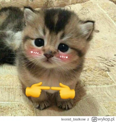 leonid_bialkow - @sasaski: przemiana materii nic nie poradzisz, MIAŁ