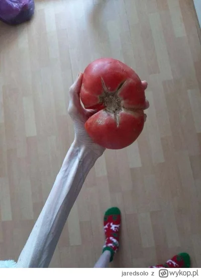 jaredsolo - Jedziemy! 

#f1