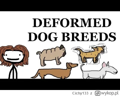 Cichy133 - @Ramadamadingdong: Obejrzyj sobie filmik instruktazowy i przestan znecac s...