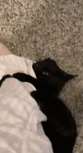 jestemtakizmeczony - @jestemtakizmeczony: