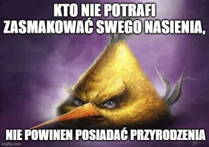 Drom - @Lujdziarski: Ładnie zalane.