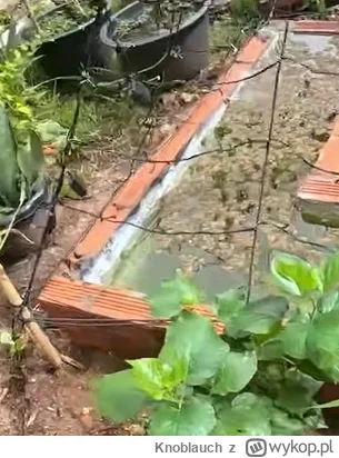 Knoblauch - #raportzpanstwasrodka 
koncept waserwagi widać tez nie znany Czerwonopape...