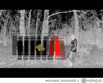 w.....Q - Zakładam kaptur jeszcze bardziej hermetyczny.
#rap #rogalddl