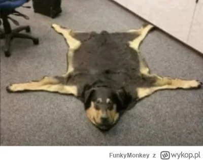 FunkyMonkey - Byłem ostatnio u Jacy w chałupie. 

#famemma