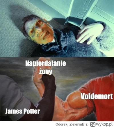 Odorek_Zieleniak - @luxphere: Przestańmy wreszcie udawać, że Voldemort i James to nie...
