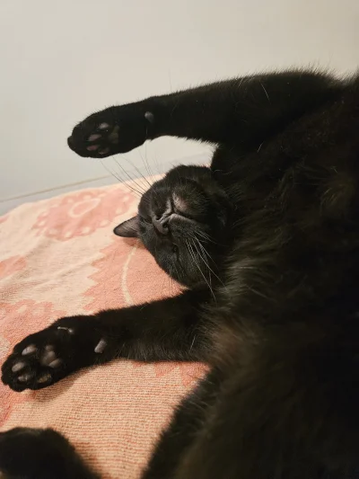 RicoElectrico - @klefonafide: tak 😻🥰😍