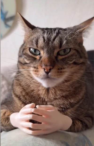 Lemmonix - Pov: kiedy gówniara wzywa Stepana na dywanik na poważną rozmowę
#codzienny...