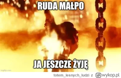 totemlesnychludzi - @Afrobiker: xD