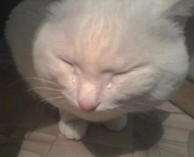 mokraprycz - #wojna  naszła mnie myśl jak podczas bitwy o atlantyk tysiące marynarzy ...