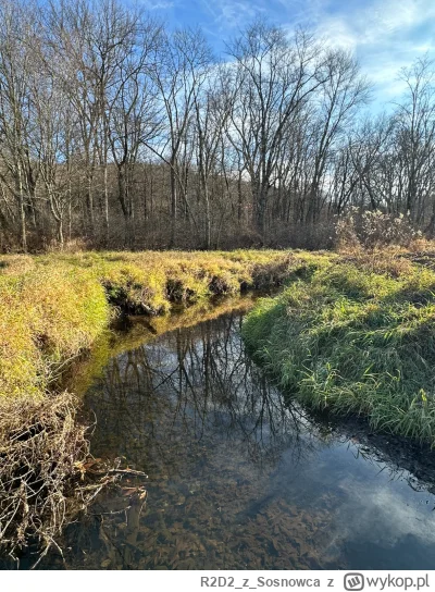 R2D2zSosnowca - @R2D2zSosnowca osobiście uważam jesień za najlepszą porę roku tutaj p...