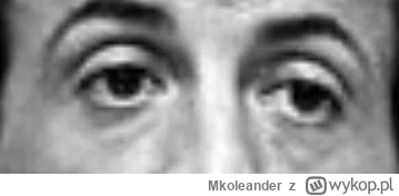 Mkoleander - @power-weak: oczy Sylwestra Stallone