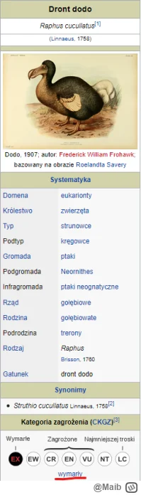 Maib - Jak na wymarłego to ten Dodo całkiem żwawo się porusza
#mecz