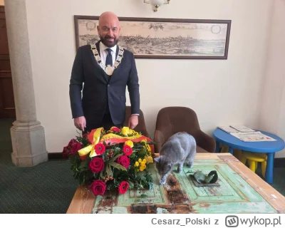 Cesarz_Polski - #kotekwrocek #wroclaw