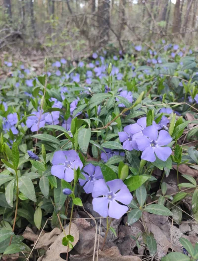 FreakingAwesome - Don't know how