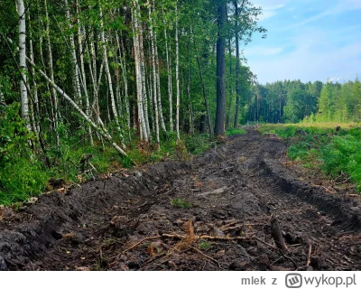 mlek - @JaNieGejJaPapiesz: tyś życia nie zaznał synek, do ujebów temu to jeszcze dale...