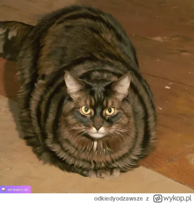 o.....e - @PanMaglev ale taguj