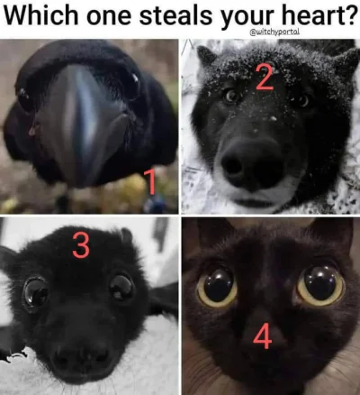 wfyokyga - Który dla for you ukrad heart?