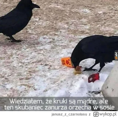 januszzczarnolasu - ( ͡° ͜ʖ ͡°)