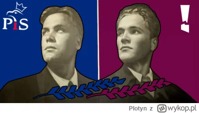 Plotyn - W pierwszej na Zandberga, w drugiej na Nawrockiego

#wybory #polityka