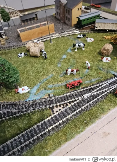 makaay01 - A jeszcze pastwisko nawiedziły mućki