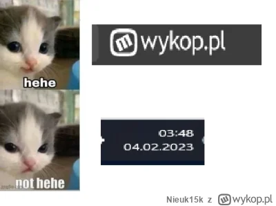 N.....k - #wykop #mirkoblog #heheszki #neet