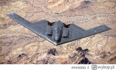 aaaqqqq - https://www.polsatnews.pl/wiadomosc/2025-01-07/ukrainski-wojskowy-gorzko-o-...